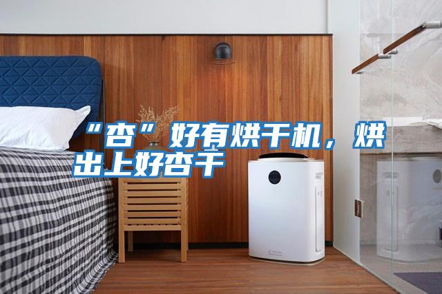 “杏”好有烘干機，烘出上好杏干