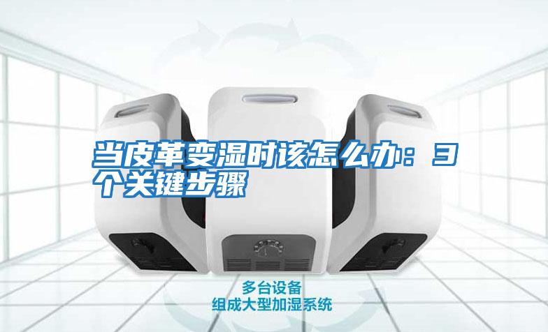 當皮革變濕時該怎么辦:3個關鍵步驟