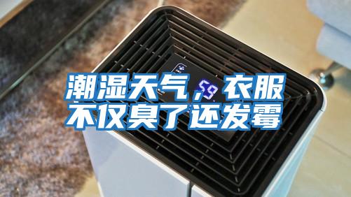 潮濕天氣，衣服不僅臭了還發霉