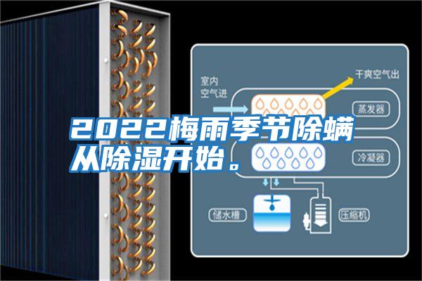2022梅雨季節(jié)除螨從除濕開始。