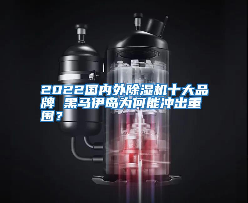 2022國(guó)內(nèi)外除濕機(jī)十大品牌 黑馬伊島為何能沖出重圍?
