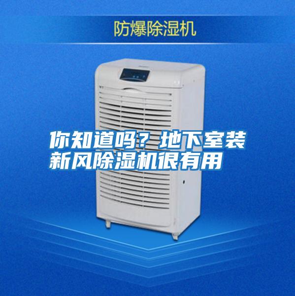 你知道嗎？地下室裝新風除濕機很有用