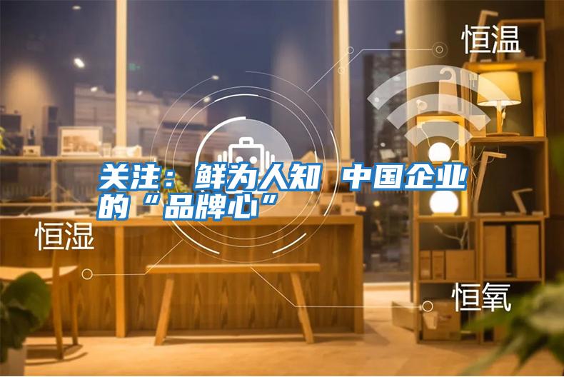 關(guān)注:鮮為人知 中國企業(yè)的“品牌心”