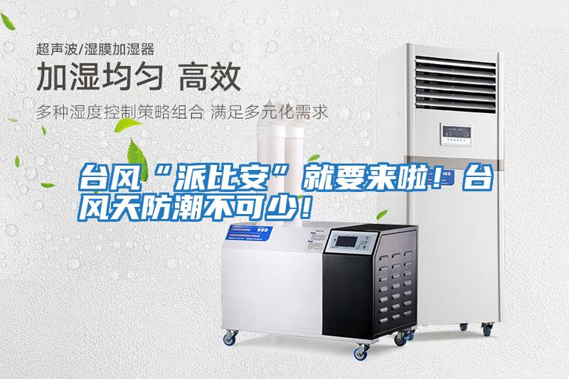 臺風“派比安”就要來啦！臺風天防潮不可少！