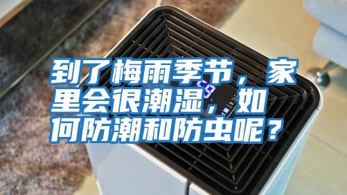 到了梅雨季節(jié)，家里會(huì)很潮濕，如何防潮和防蟲呢？