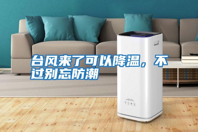 臺(tái)風(fēng)來了可以降溫，不過別忘防潮