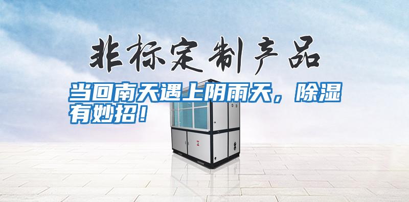 當回南天遇上陰雨天,除濕有妙招!