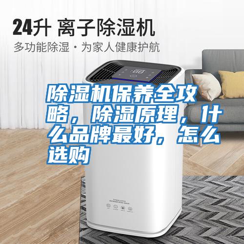 除濕機保養全攻略,除濕原理,什么品牌最好,怎么選購