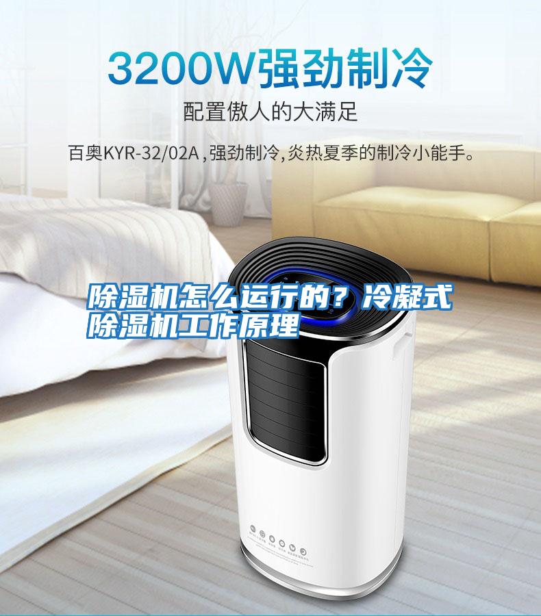 除濕機怎么運行的？冷凝式除濕機工作原理