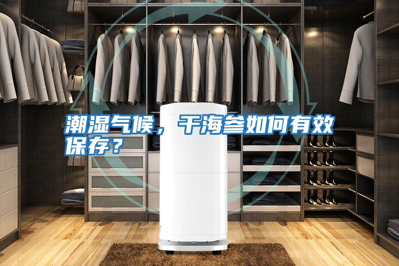 潮濕氣候，干海參如何有效保存？