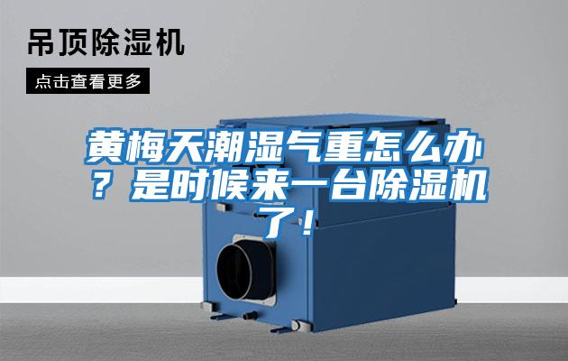 黃梅天潮濕氣重怎么辦?是時(shí)候來一臺(tái)除濕機(jī)了!