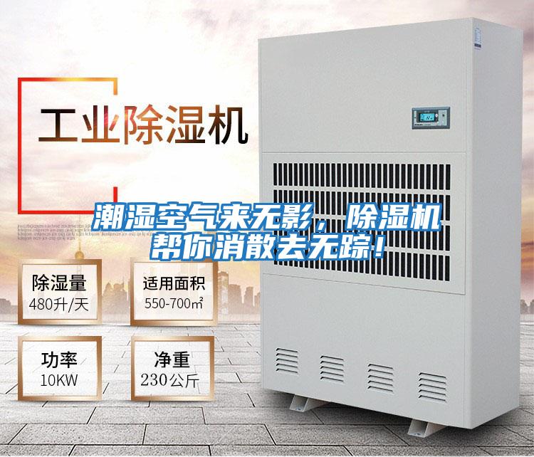 潮濕空氣來無影,除濕機(jī)幫你消散去無蹤!