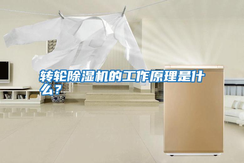 轉(zhuǎn)輪除濕機(jī)的工作原理是什么？