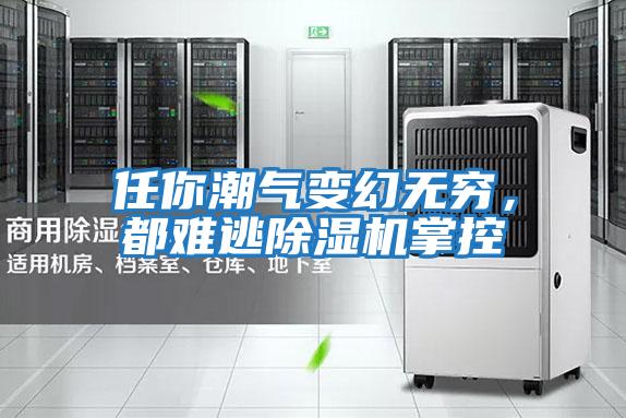 任你潮氣變幻無窮，都難逃除濕機掌控