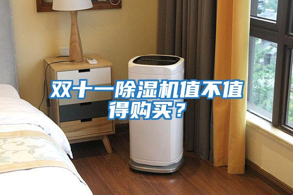 雙十一除濕機(jī)值不值得購(gòu)買(mǎi)？
