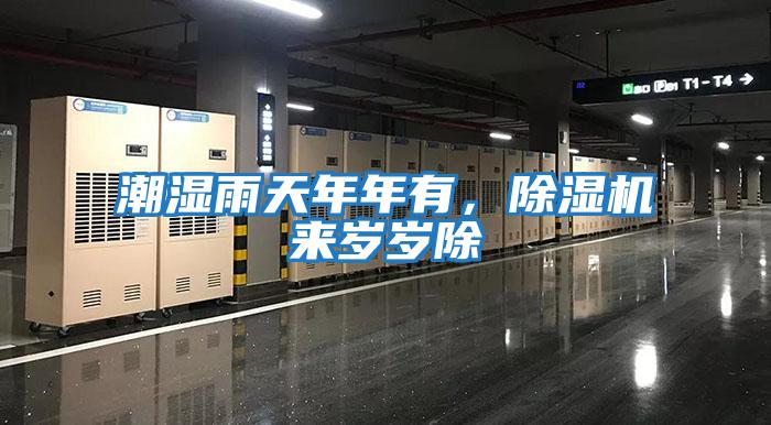潮濕雨天年年有，除濕機來歲歲除