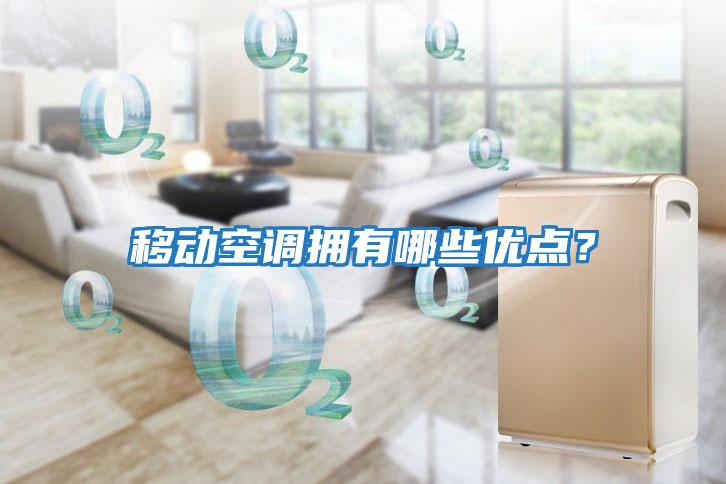 移動(dòng)空調(diào)擁有哪些優(yōu)點(diǎn)?