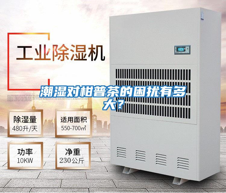 潮濕對(duì)柑普茶的困擾有多大?