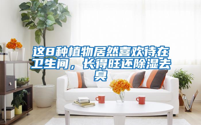 這8種植物居然喜歡待在衛生間,長得旺還除濕去臭