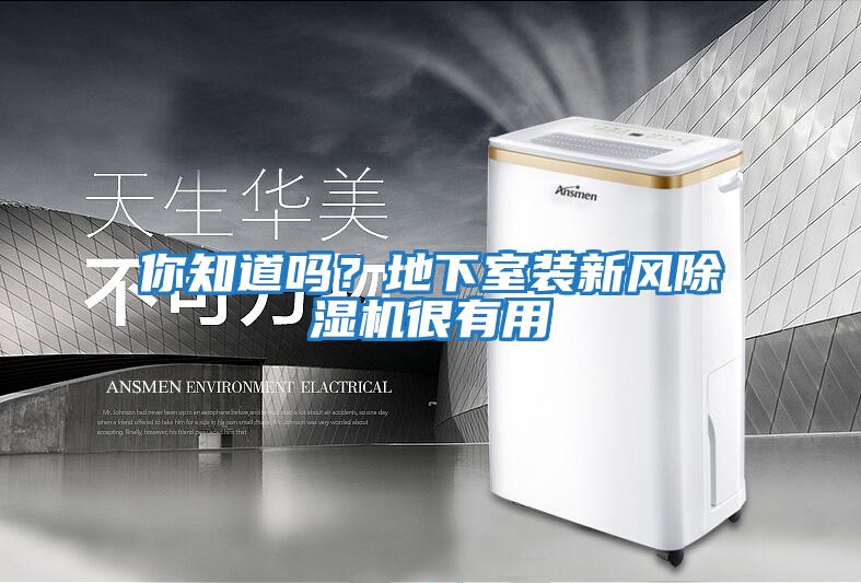 你知道嗎？地下室裝新風除濕機很有用