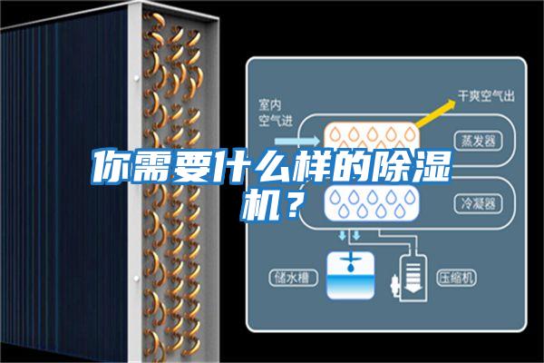 你需要什么樣的除濕機？