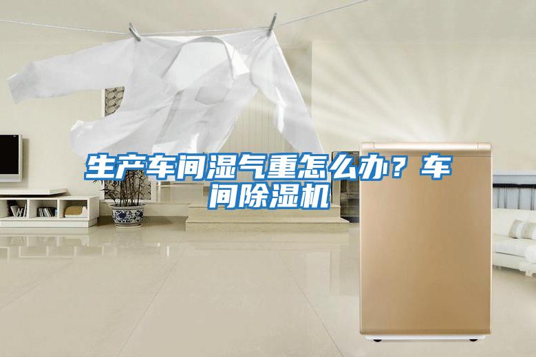 生產車間濕氣重怎么辦？車間除濕機