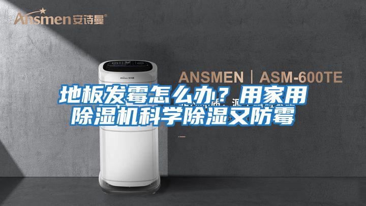 地板發(fā)霉怎么辦?用家用除濕機(jī)科學(xué)除濕又防霉