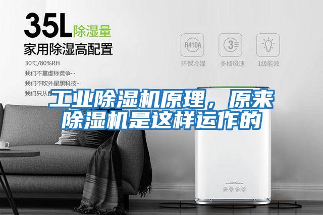 工業(yè)除濕機(jī)原理,原來(lái)除濕機(jī)是這樣運(yùn)作的