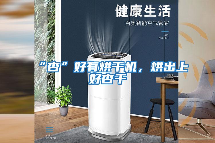 “杏”好有烘干機,烘出上好杏干