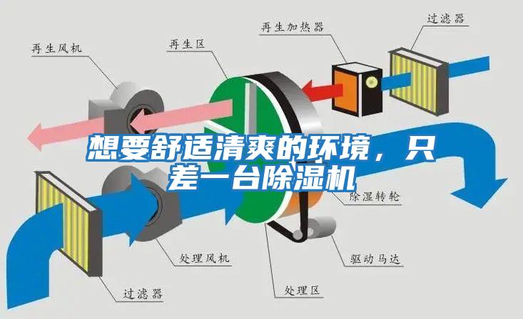 想要舒適清爽的環(huán)境,只差一臺除濕機(jī)