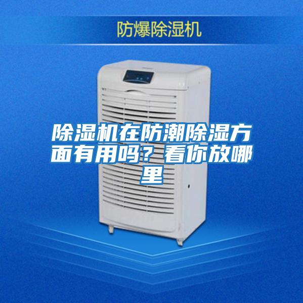 除濕機(jī)在防潮除濕方面有用嗎？看你放哪里