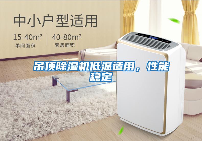 吊頂除濕機(jī)低溫適用,性能穩(wěn)定