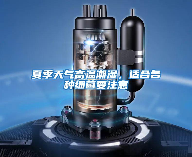 夏季天氣高溫潮濕，適合各種細菌要注意