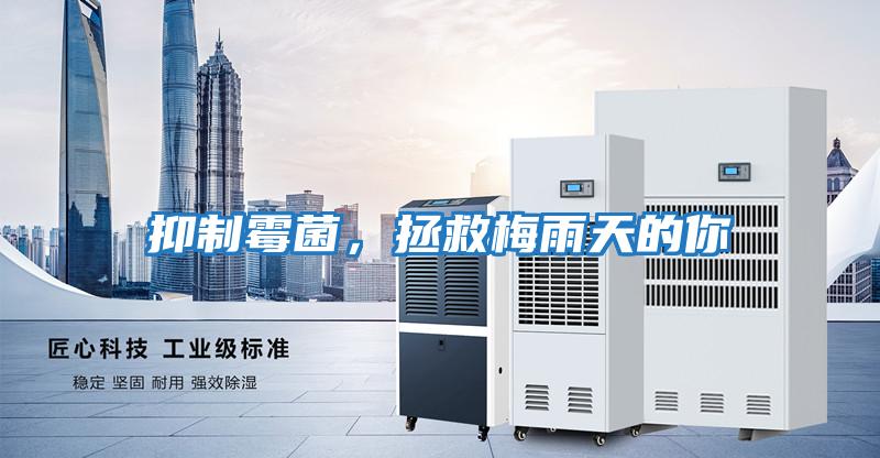 抑制霉菌，拯救梅雨天的你