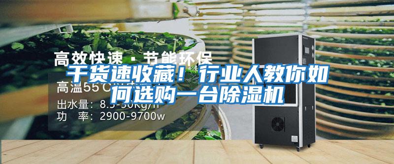 干貨速收藏！行業(yè)人教你如何選購一臺除濕機