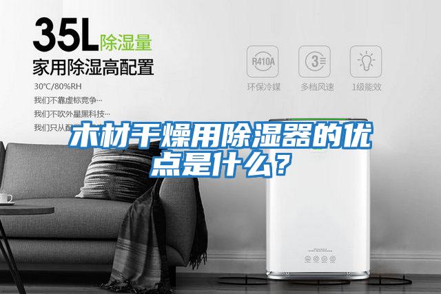 木材干燥用除濕器的優點是什么？