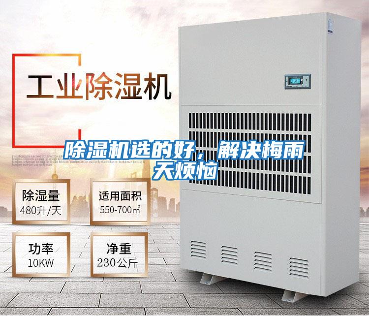 除濕機選的好,解決梅雨天煩惱