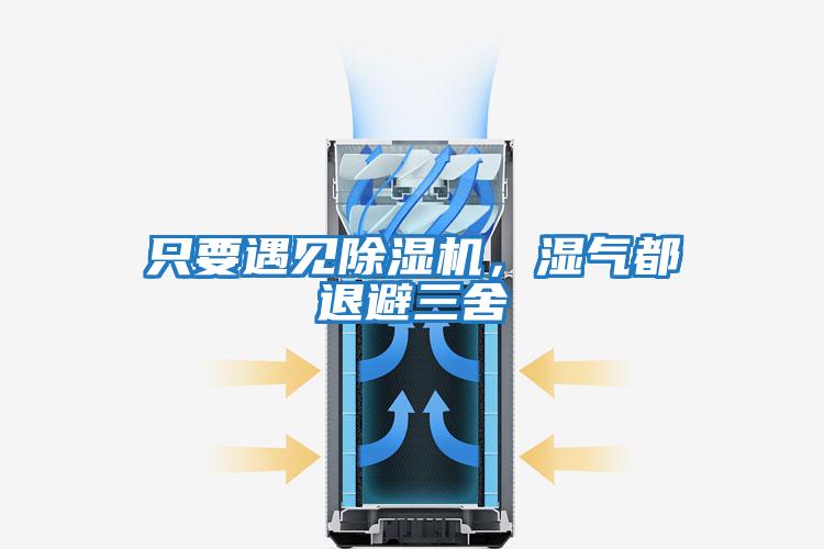 只要遇見除濕機(jī),濕氣都退避三舍