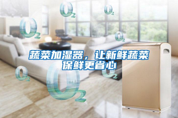 蔬菜加濕器，讓新鮮蔬菜保鮮更省心