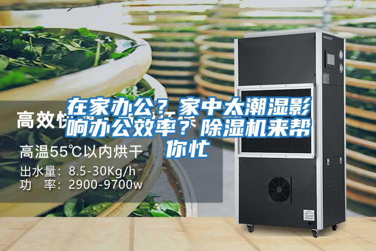 在家辦公？家中太潮濕影響辦公效率？除濕機(jī)來幫你忙