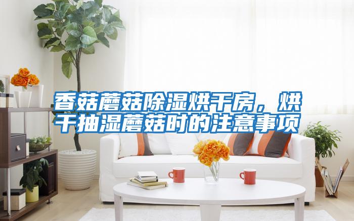 香菇蘑菇除濕烘干房，烘干抽濕蘑菇時的注意事項