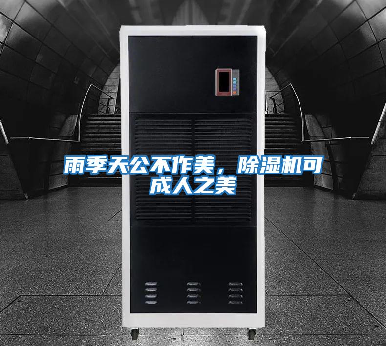 雨季天公不作美，除濕機可成人之美