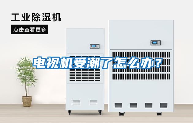 電視機(jī)受潮了怎么辦？
