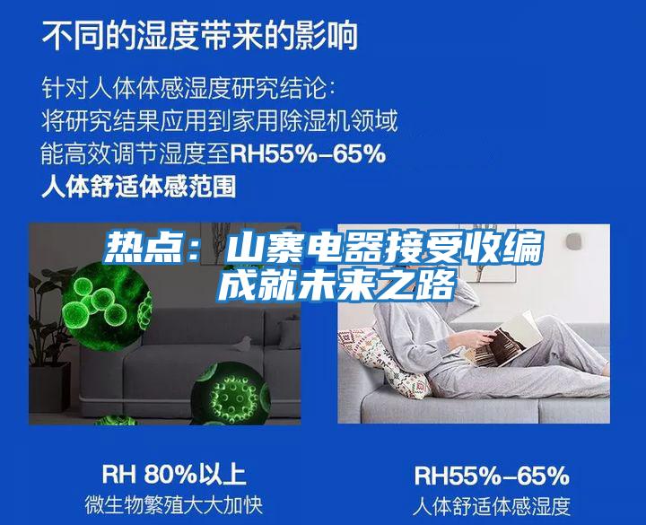 熱點(diǎn)：山寨電器接受收編 成就未來(lái)之路