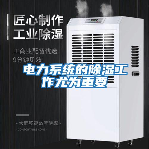 電力系統的除濕工作尤為重要