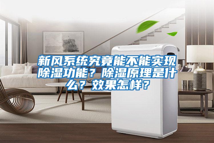 新風系統(tǒng)究竟能不能實現(xiàn)除濕功能？除濕原理是什么？效果怎樣？
