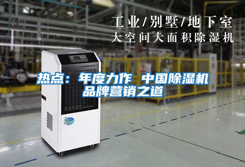熱點:年度力作 中國除濕機品牌營銷之道