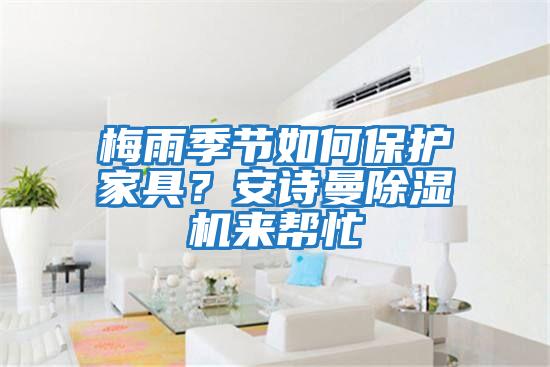 梅雨季節(jié)如何保護(hù)家具?安詩(shī)曼除濕機(jī)來幫忙