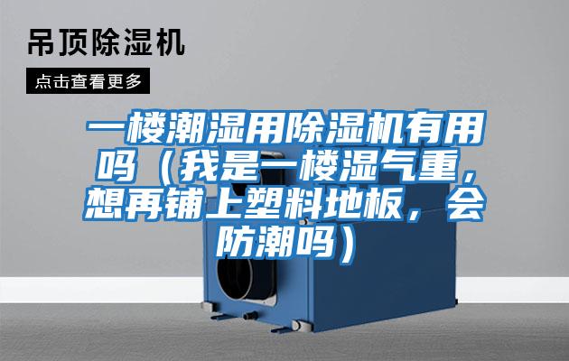 一樓潮濕用除濕機(jī)有用嗎（我是一樓濕氣重，想再鋪上塑料地板，會(huì)防潮嗎）