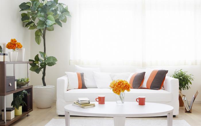 空氣凈化器或除濕機，選擇哪一種會對健康更好？